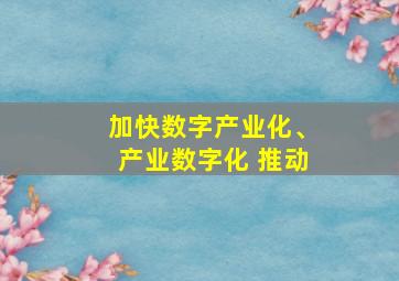 加快数字产业化、产业数字化 推动